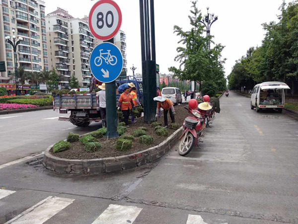 1496903514828261.jpg 6.4. (3)_副本.jpg